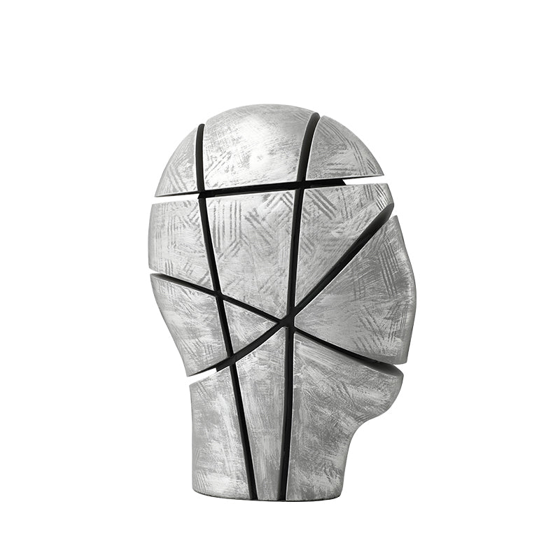 Fragmented Vision